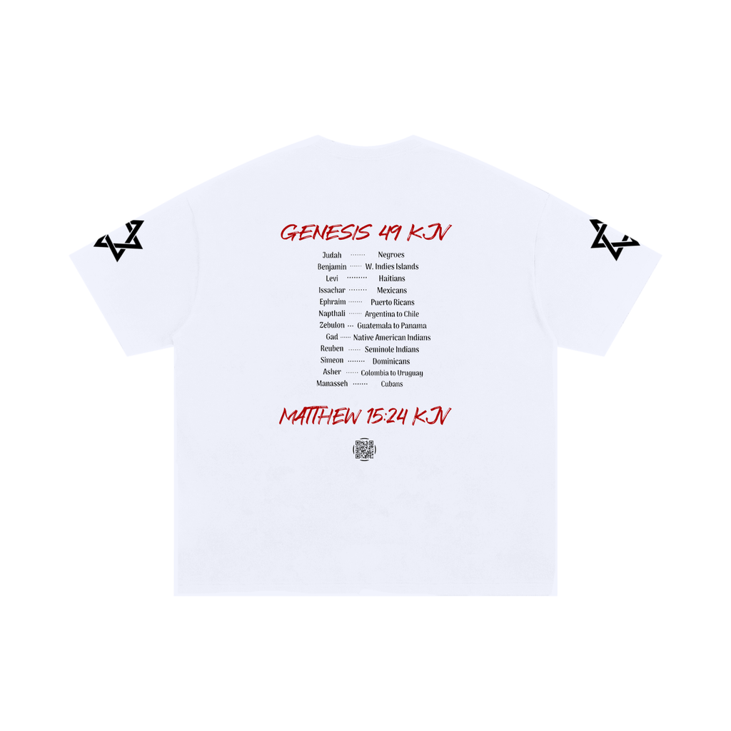 Judah - Mislabeled African Americans Unisex Oversized Cotton T-Shirt